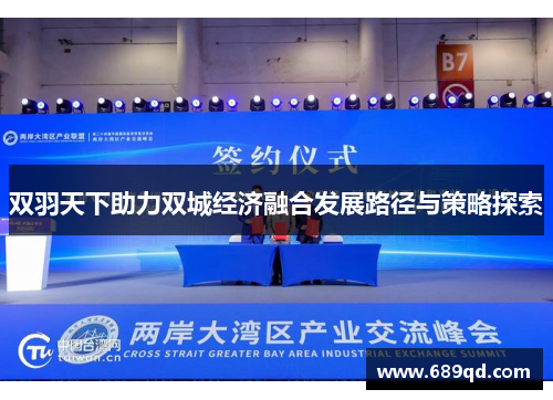 双羽天下助力双城经济融合发展路径与策略探索